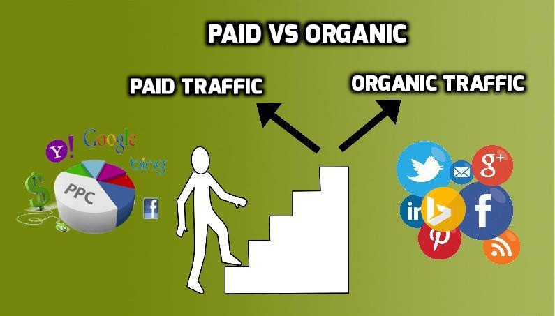paid vs organic